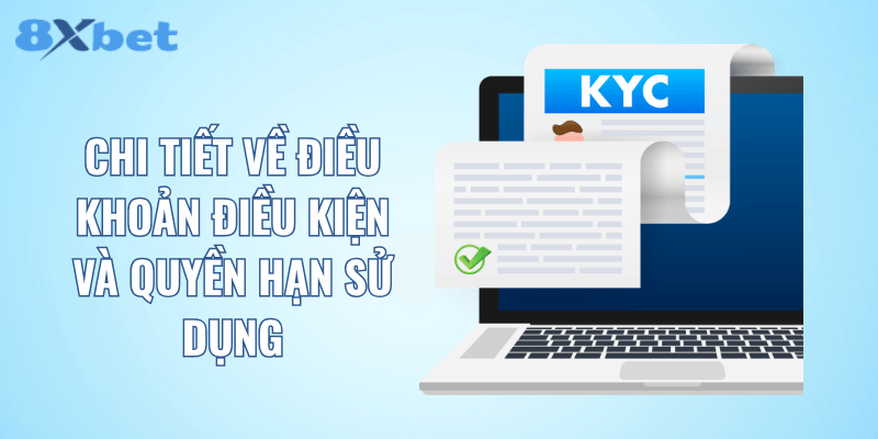 Chi tiết về điều khoản điều kiện và quyền hạn sử dụng