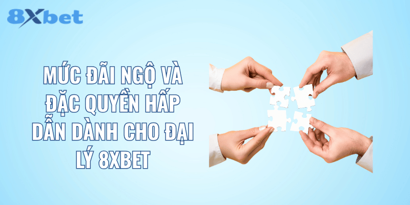 Mức đãi ngộ và đặc quyền hấp dẫn dành cho đại lý 8XBET